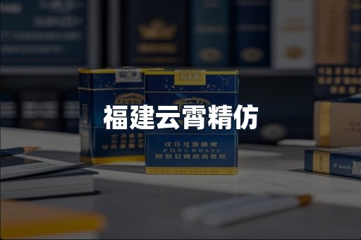 福建云霄精仿